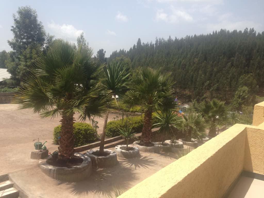 Joamla Hotel Dessie Luaran gambar